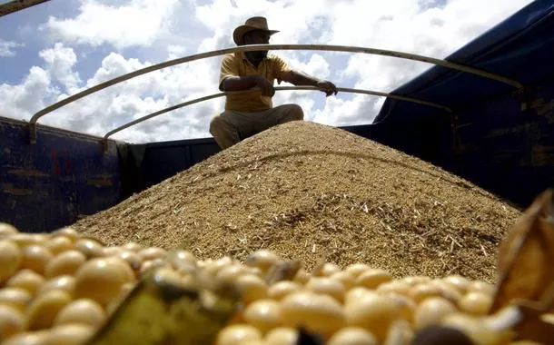 Empresas chinesas avaliam novos investimentos no setor do agronegócio do Brasil