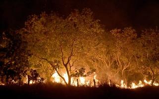 Incêndio em Roraima