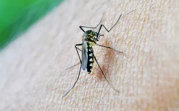 Governo lança plano de ação para combater a dengue e evitar nova crise em 2025