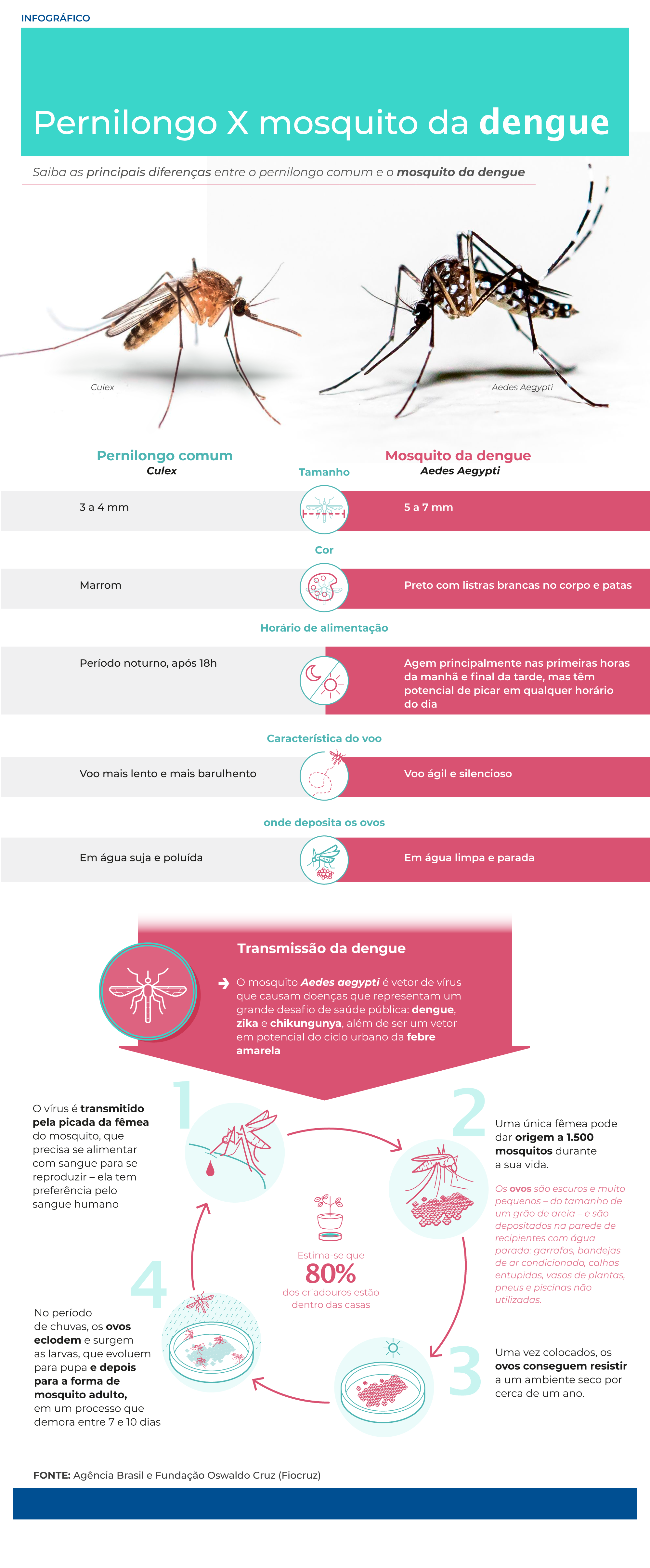 infografico