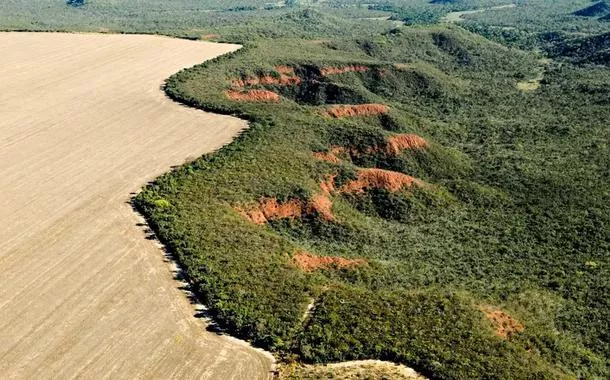 Apib pede inclusão de mais biomas brasileiros em regulação europeia