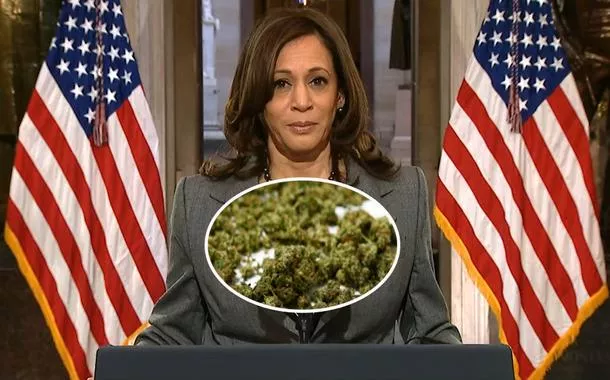 Vice-presidente dos EUA, Kamala Harris diz que "ninguém deveria ser preso por fumar maconha"