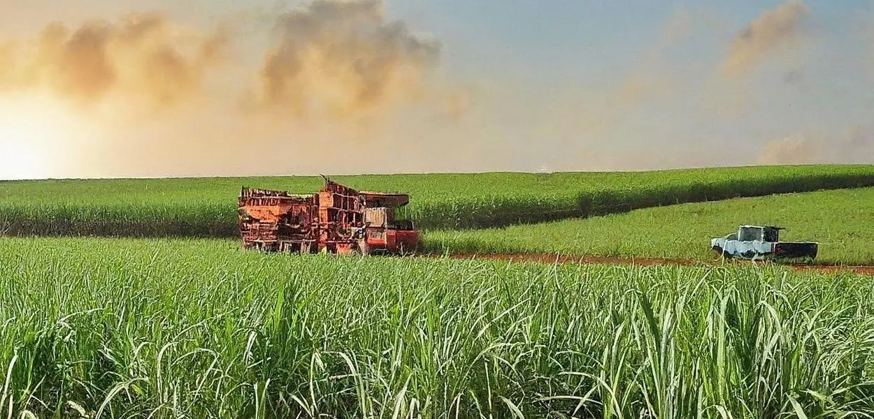 Aumento do preço do petróleo ampliará foco de usinas brasileiras no etanol, preveem analistas