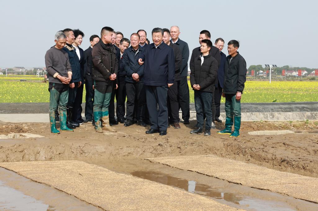 Xi inspeciona trabalho de agricultura da primavera na cidade de Changde, Província de Hunan, centro da China