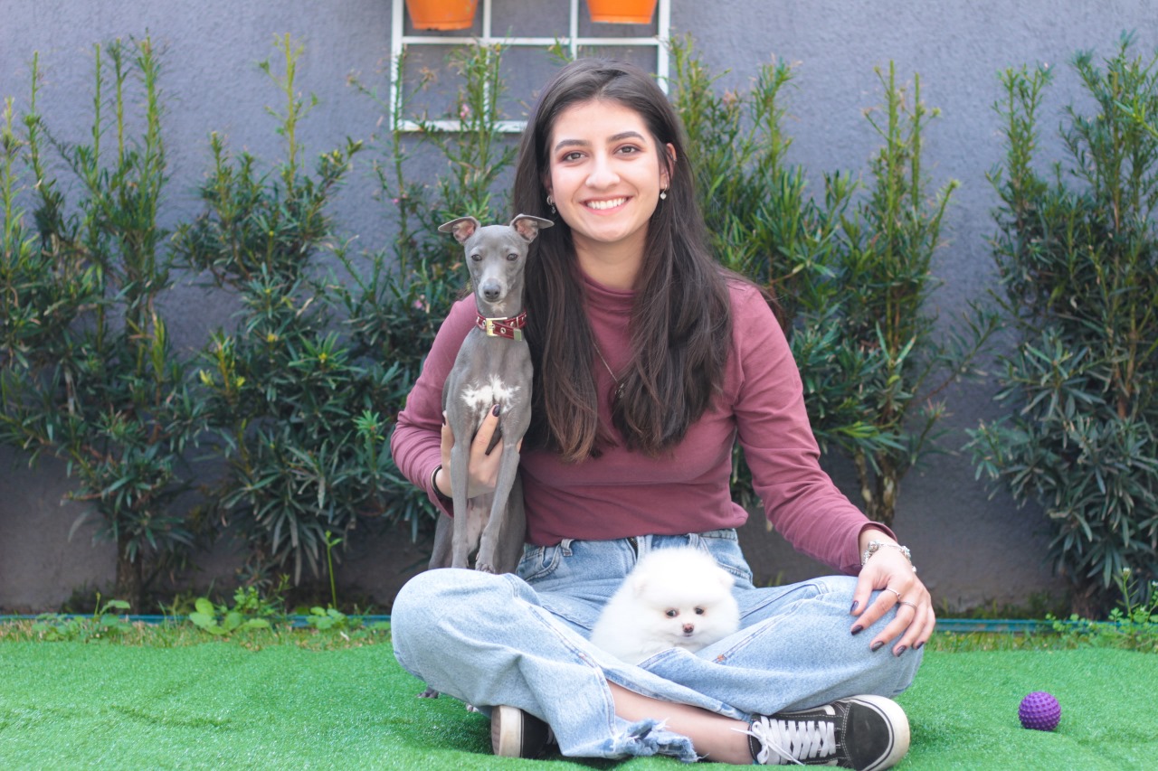 Como é ter um Pequeno Lebrel Italiano?