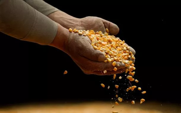Governo autoriza renegociação de dívidas de produtores rurais
