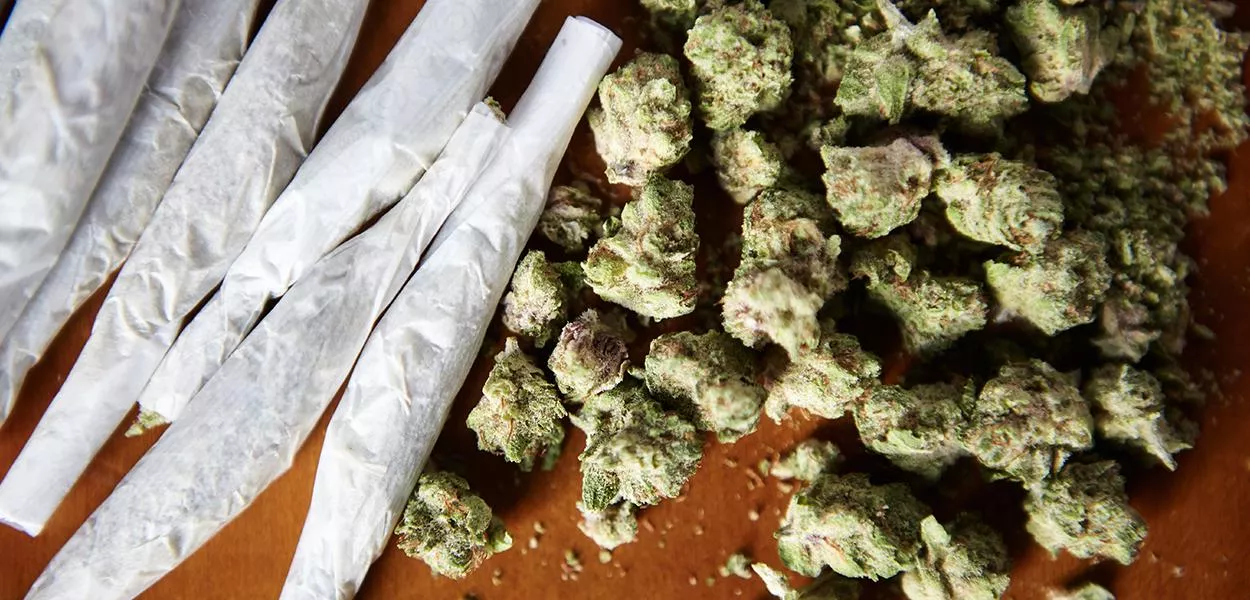 Comemoração do Dia Mundial da Cannabis acompanha avanços em marcos legais ao redor do planeta
