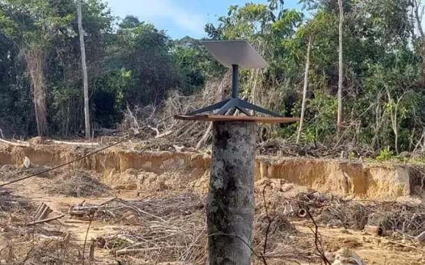 Anatel avalia riscos geopolíticos antes de liberar expansão da Starlink no Brasil
