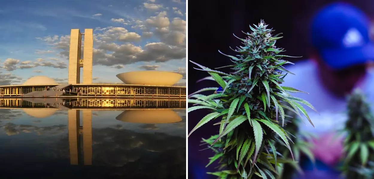 Congresso Nacional e maconha