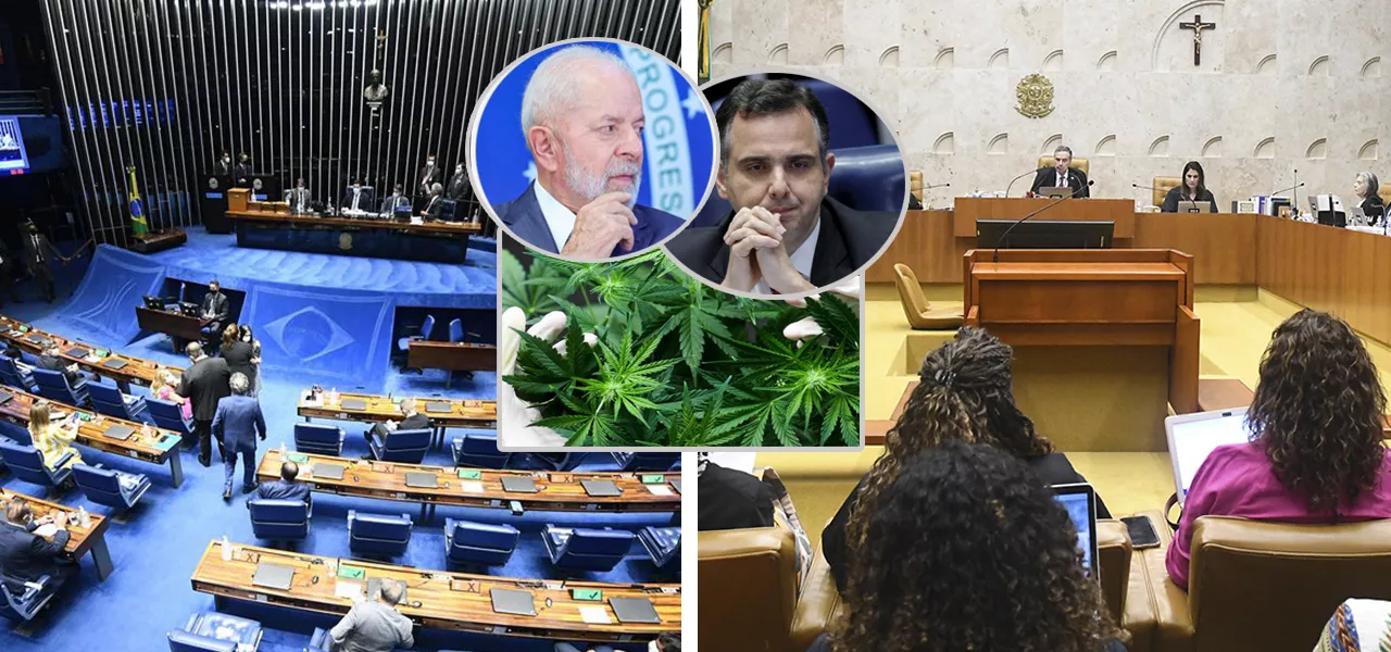 Senado (à esq.), Supremo Tribunal Federal, Luiz Inácio Lula da Silva (mão no queixo), Rodrigo Pacheco e a cannabis