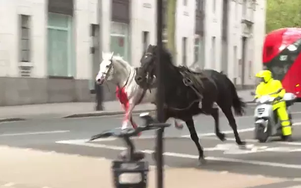 Cavalos galopam descontrolados em Londres