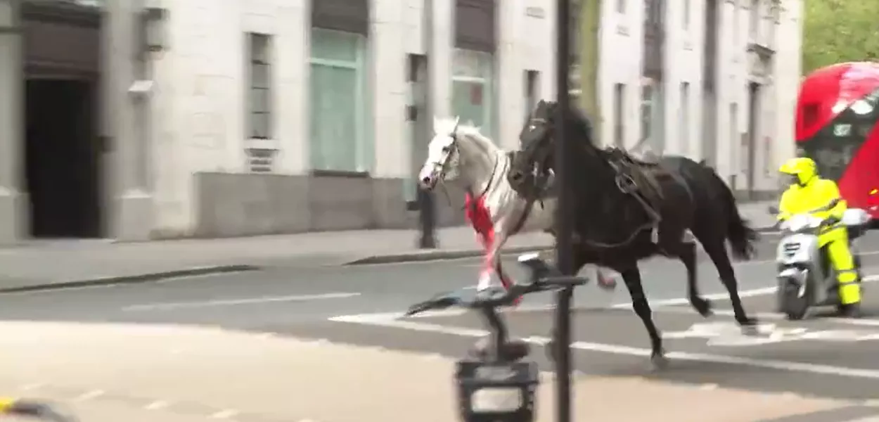 Cavalos galopam descontrolados em Londres