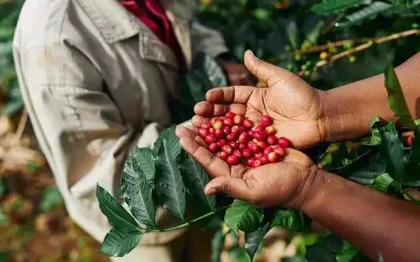 Exportação de café e algodão do Brasil já supera junho do ano passado