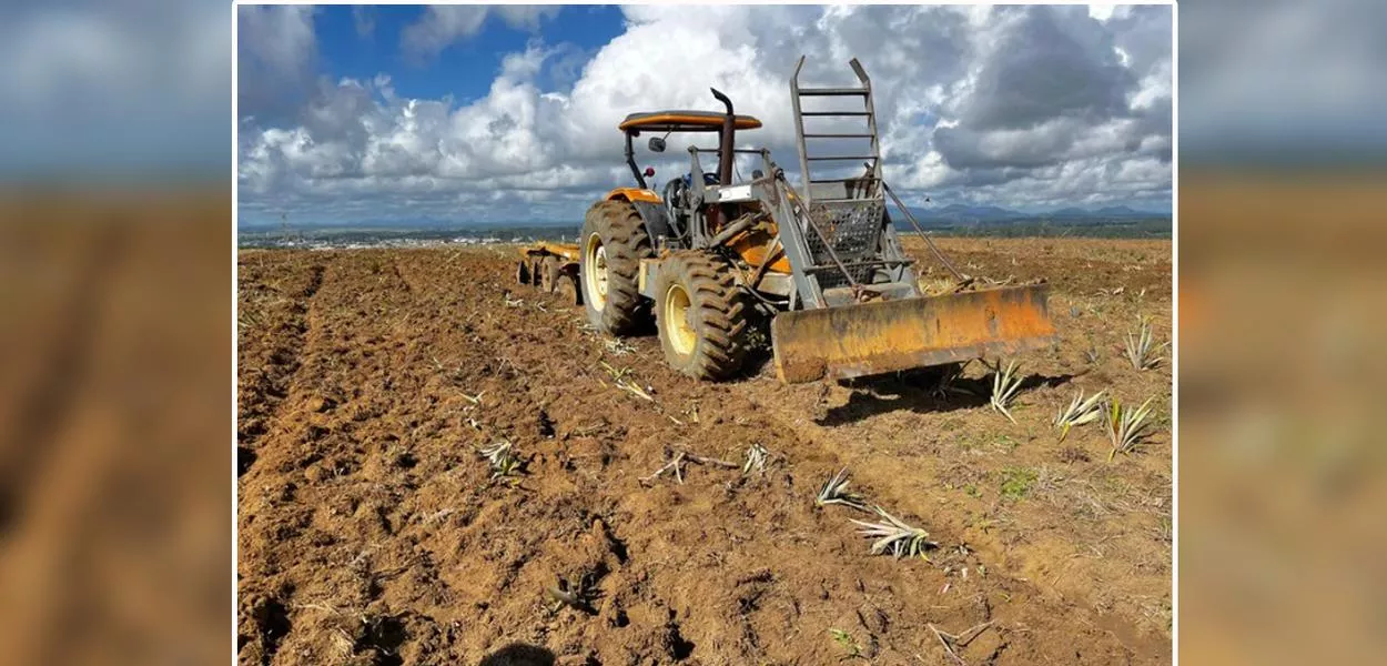 Fazendeiros destruíram plantações em acampamento do MST no município de Itabela (BA)