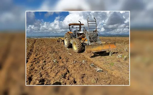 Fazendeiros destruíram plantações em acampamento do MST no município de Itabela (BA)