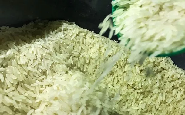 Conab anuncia a entrega de 460 mil kg de sementes de arroz à agricultura familiar do RS