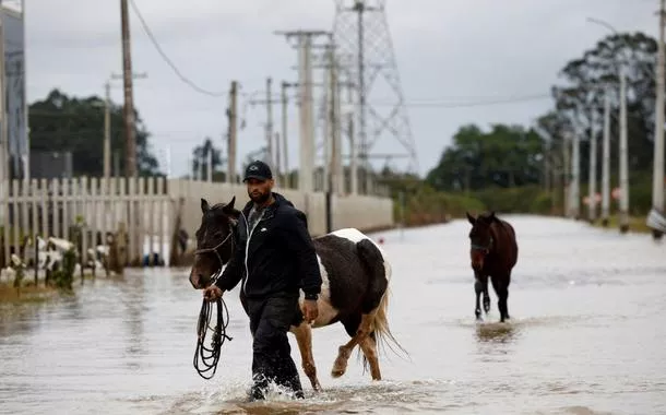 Voluntário resgata cavalos em rua alagada de Eldorado do Sul, no Rio Grande do Sul