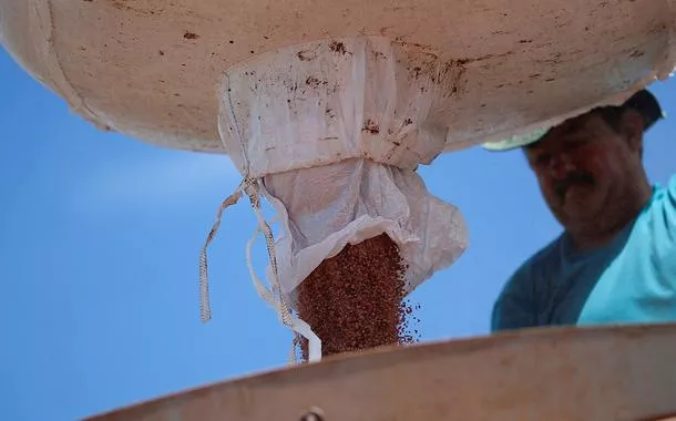 Trabalhador agrícola carrega trator com fertilizante, perto de Brasília (DF)