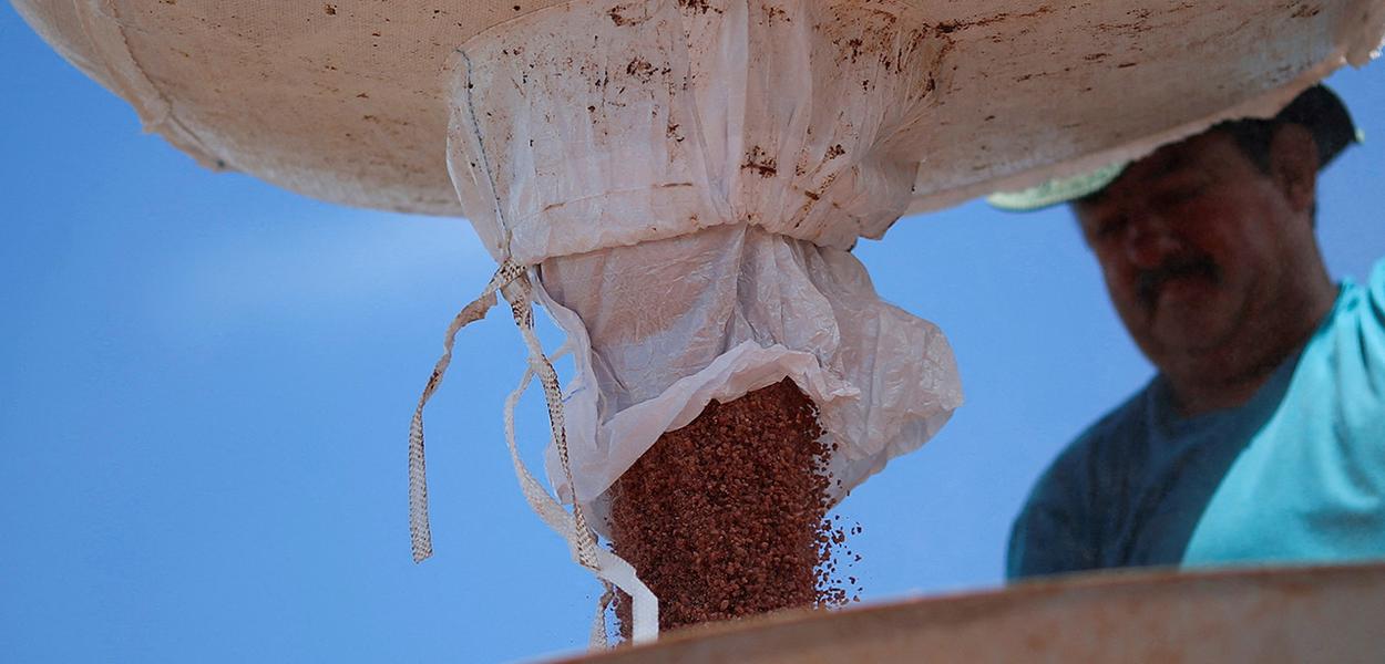 Alta dos fertilizantes não pressiona alimentos no curto prazo
