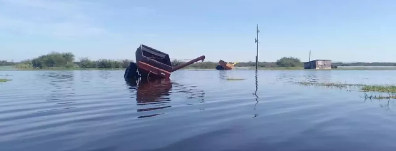 Plantação de arroz agroecológico inundada em Viamão