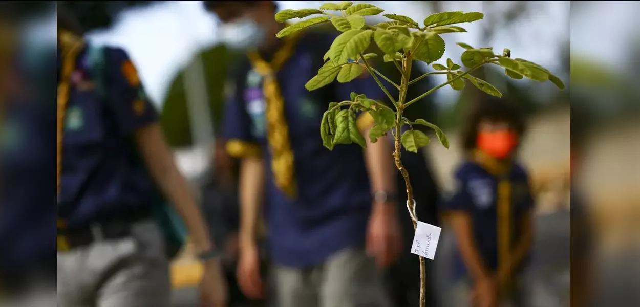 Sustentabilidade