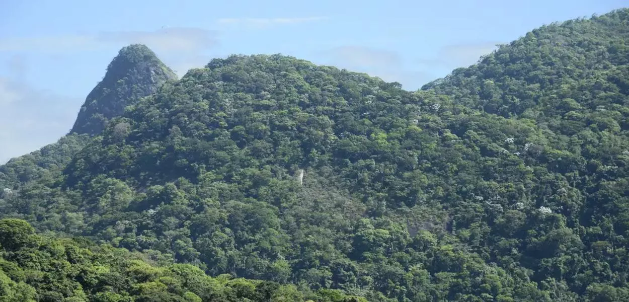 Estudo apoiado pelo BNDES analisa potencial de florestas públicas em projetos de pagamento por serviços ambientais