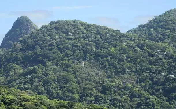 Estudo apoiado pelo BNDES analisa potencial de florestas públicas em projetos de pagamento por serviços ambientais