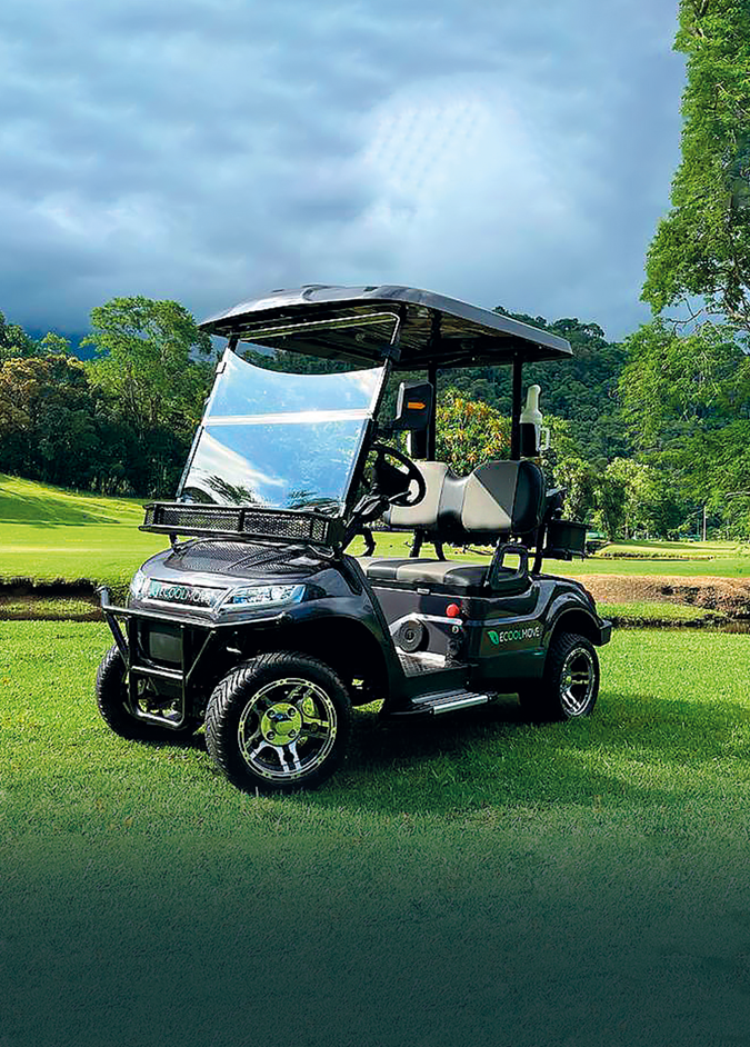 Carrinho de golfe: confira um guia completo sobre o tema