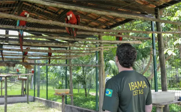 Servidor do Ibama