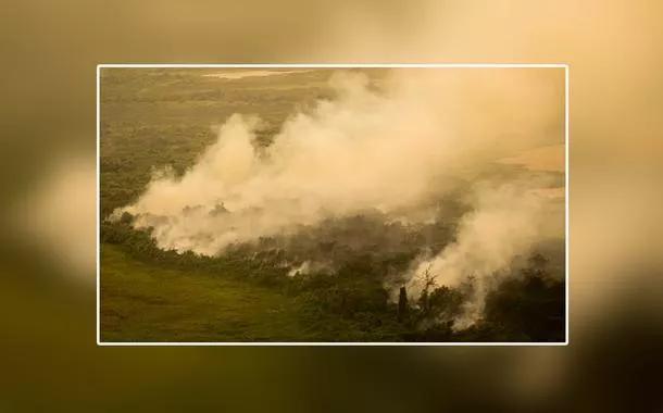 ‘Queima controlada’ para pasto ou cultivos no Pantanal será tratada como crime, diz governo