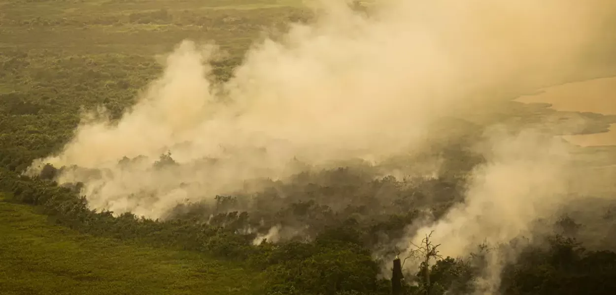 Incêndios no Pantanal já atingem mais de 600 mil hectares em 2024