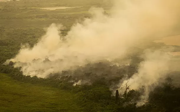 Incêndios no Pantanal já atingem mais de 600 mil hectares em 2024