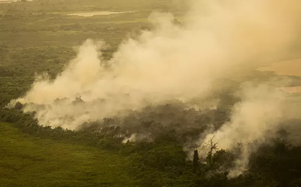 Dino manda governo ampliar combate ao fogo na Amazônia e no Pantanal