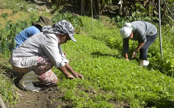 Mulheres na agricultura familiar 