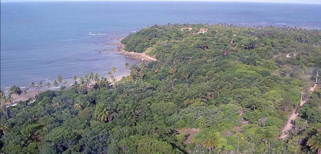 Mata Atlântica