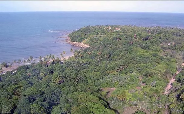 Mata Atlântica