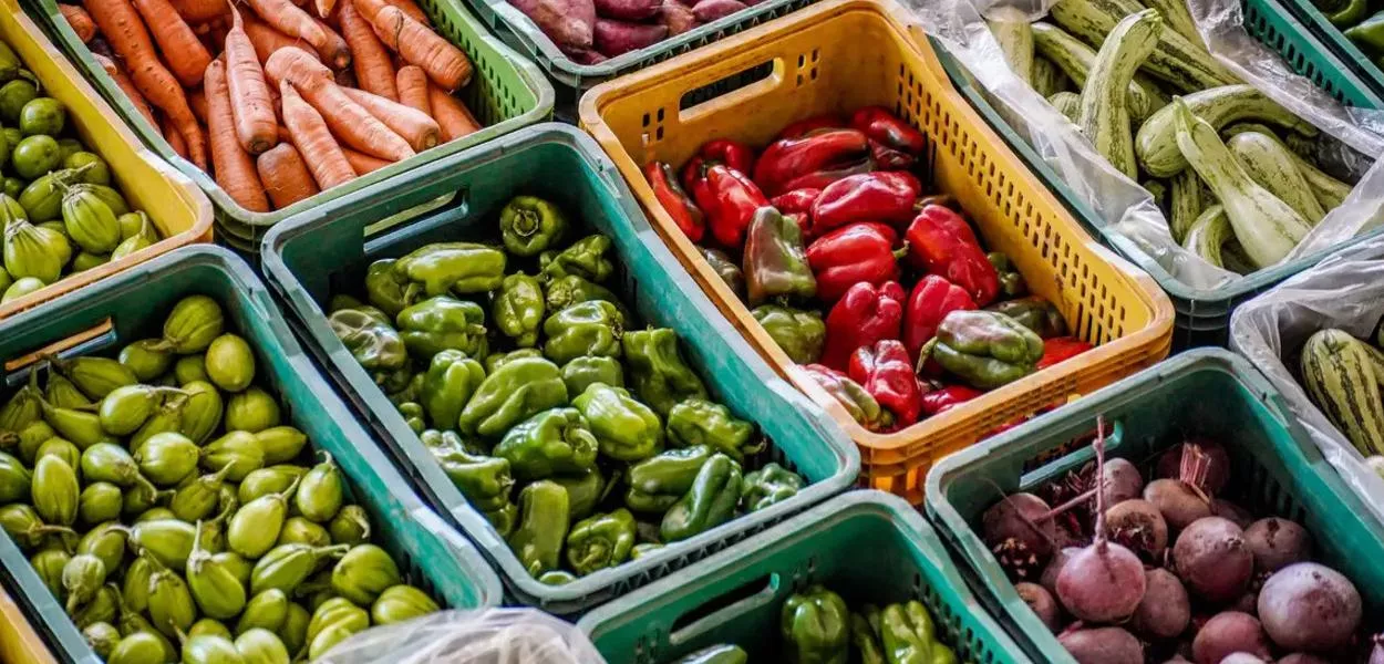 Câmara aprova projeto de combate à perda e ao desperdício de alimento