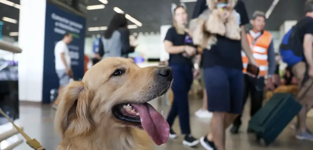Convívio com pets faz bem à saúde