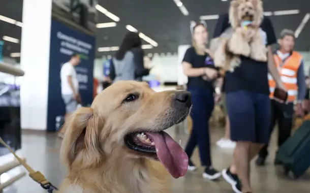 Convívio com pets faz bem à saúde