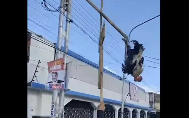 "Métodos nazistas para difundir ódio": investigam na Venezuela maltrato animal em marcha opositora