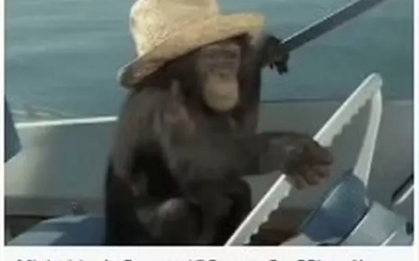 A publicação racista que foi apagada