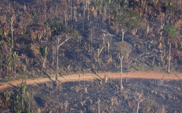 Desmatamento prejudica menos o clima do que outros tipos de degradação da Amazônia, diz estudo