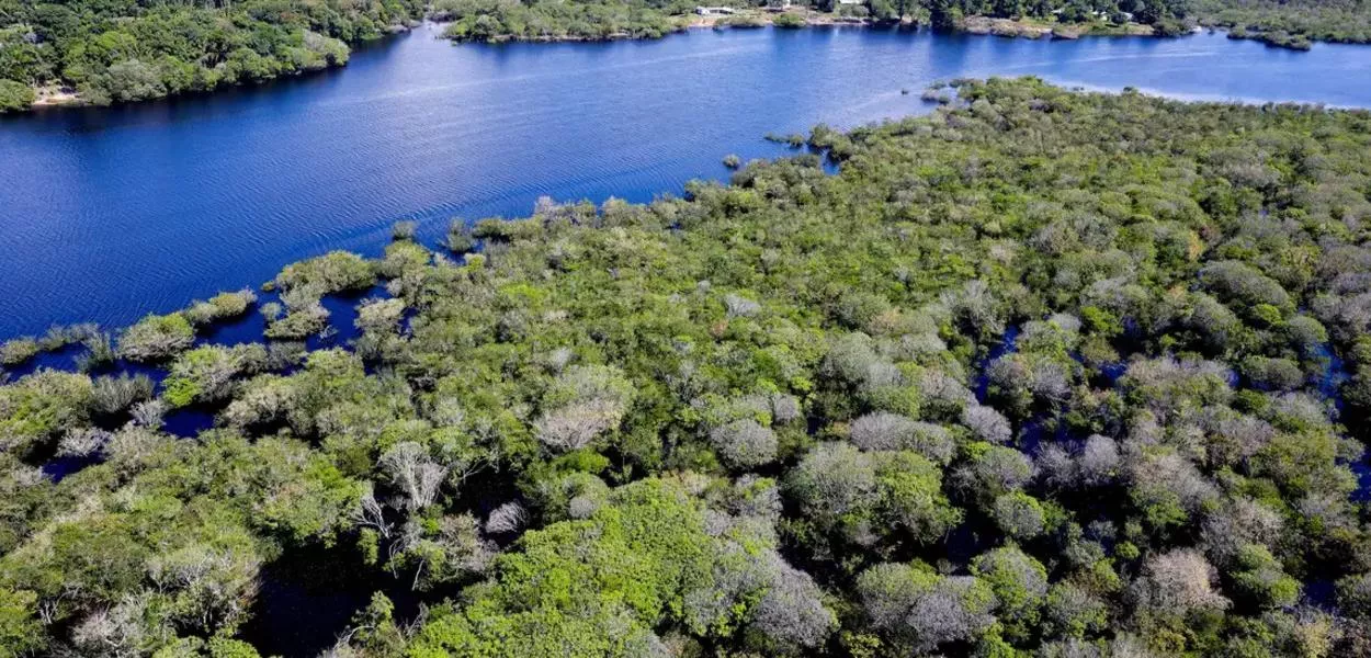 Floresta amazônica