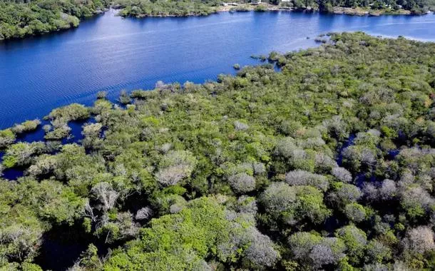 Floresta amazônica