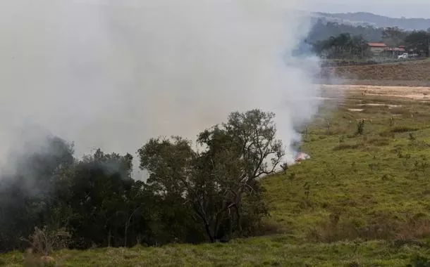 Fundo auxiliará produtores rurais atingidos por incêndios em SP