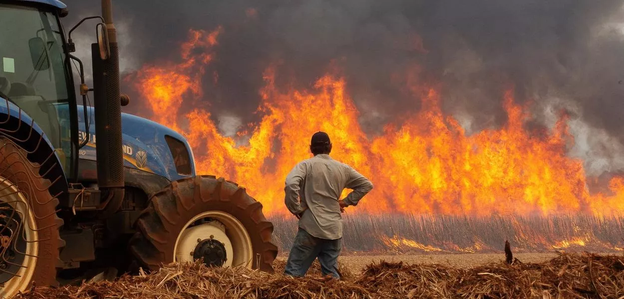 Agricultor observa plantação de cana-de-açúcar queimar em Dumon (SP)
REUTERS/Joel Silva