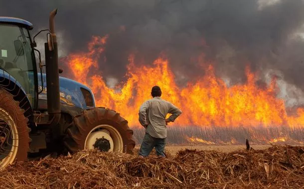 Agricultor observa plantaçãofree vegas slots online casinocana-de-açúcar queimarfree vegas slots online casinoDumon (SP)
REUTERS/Joel Silva