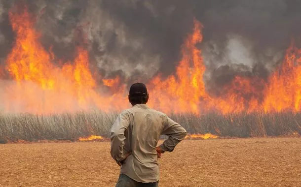 Governo brasileiro busca auxílio internacional para o combate aos incêndios florestais