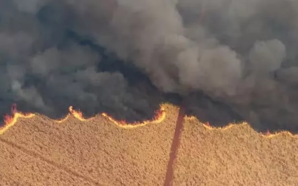 Cemaden: mais da metade dos estados no país enfrenta o pior período de seca em 44 anos