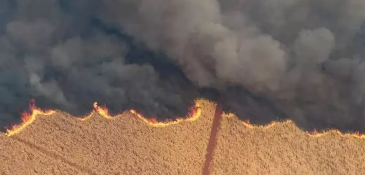 Incêndio em plantação de cana em Dumont (SP)